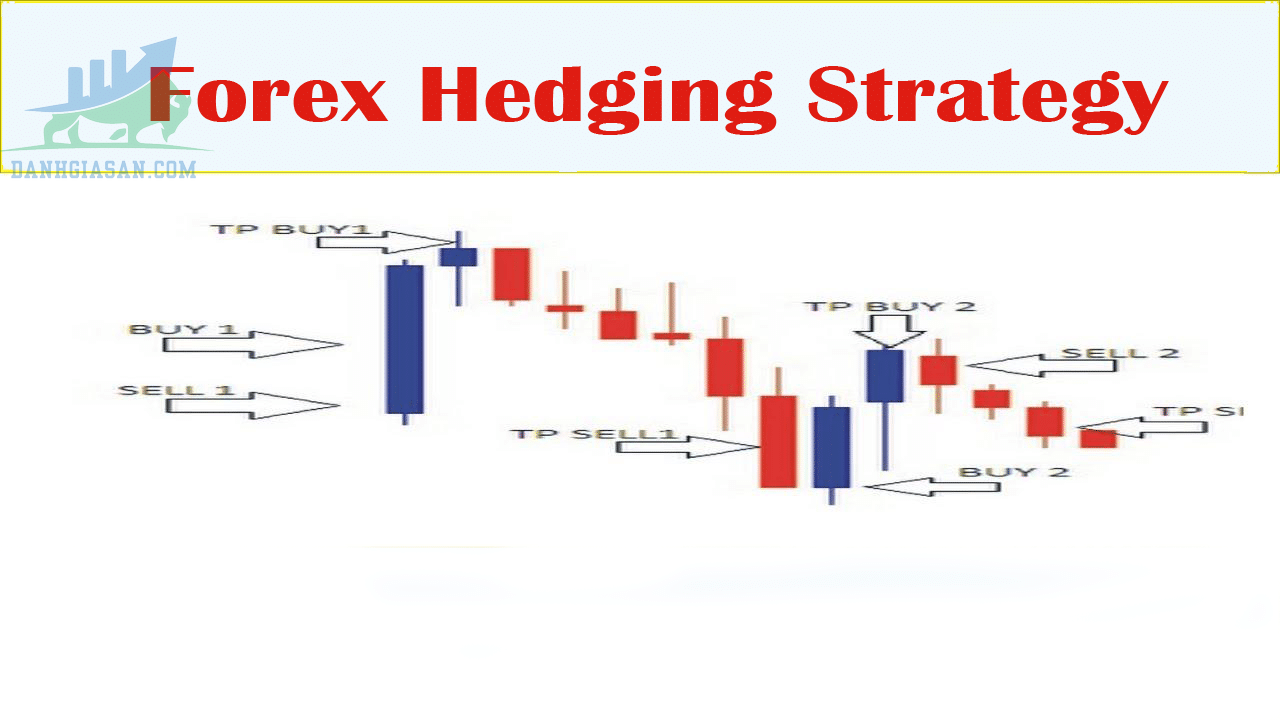 Hedging Forex là gì? Cách đánh Hedging Forex? Rủi ro Hedge