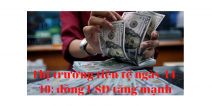 Thị trường tiền tệ ngày 14-10_ đồng USD tăng mạnh