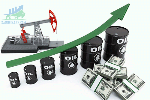 Dầu thô là gì? Crude Oil là gì?