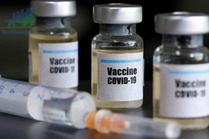EU ngăn chặn xuất khẩu vắc xin COVID-19 sang Anh và các khu vực khác
