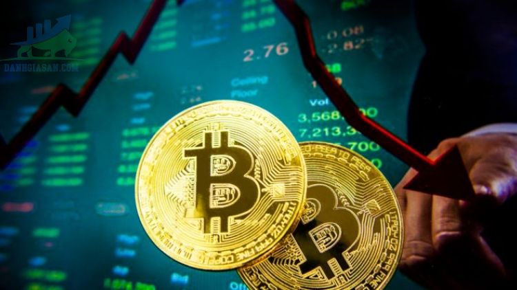 Thị trường Bitcoin giảm mạnh, nhà đầu tư tìm kiếm sự thay thế mới - ngày 19/05/2021