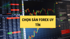 Những tiêu chí chọn sàn Forex uy tín để đầu tư cho trader