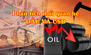 Mối quan hệ giữa dầu và USD / CAD trên thị trường ngoại hối