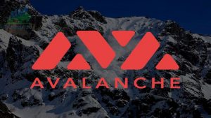 Avalanche là gì? Tổng quan về dự án Avalanche