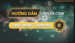 Hướng dẫn chuyển coin/token sang mạng Cardano