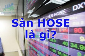 Sàn Hose là gì? Tổng hợp những thông tin về sàn giao dịch chứng khoán HoSE