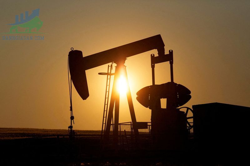 Giá dầu giảm khi sản lượng của Nga tăng - ngày 18/08/2022