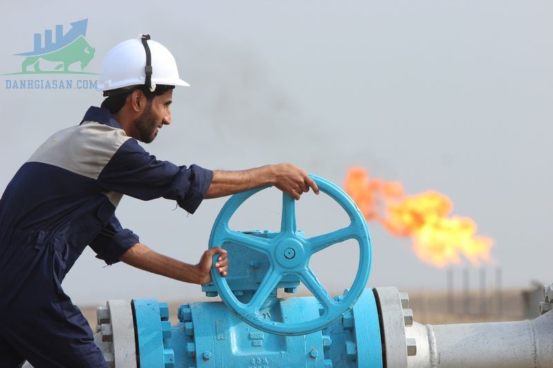 Giá dầu nhích nhẹ do hy vọng OPEC cắt giảm nguồn cung - ngày 29/08/2022