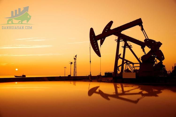 Giá dầu trượt dốc do dự báo cắt giảm nhu cầu của OPEC - ngày 15/11/2022 