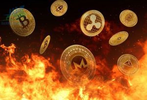 Đốt coin là gì? Tìm hiểu cơ chế về đốt Coin trong Crypto