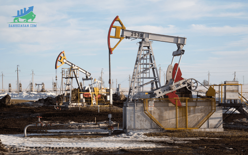 Dầu giảm sau khi dự trữ dầu thô của Mỹ tăng bất ngờ (1)