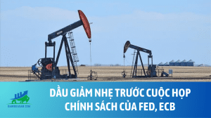 Dầu giảm nhẹ trước cuộc họp chính sách của Fed, ECB