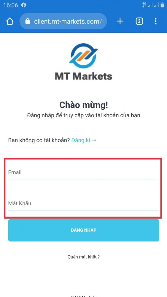 MT Markets 11