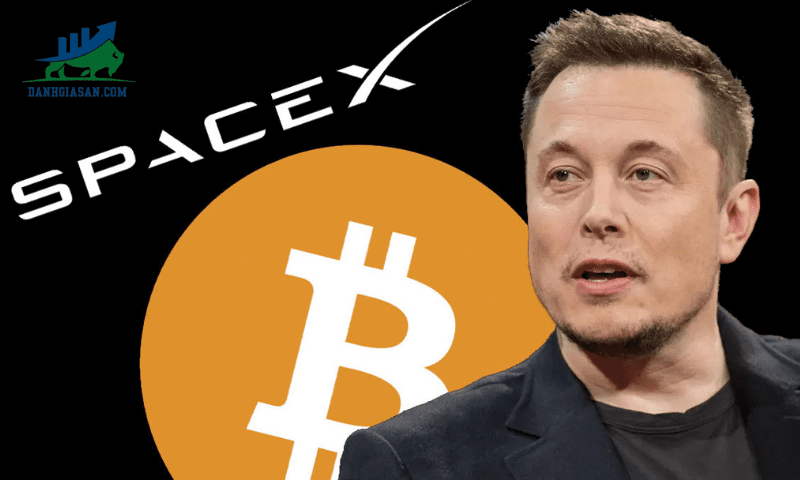 SpaceX của Elon Musk bán 373 triệu USD Bitcoin (1)