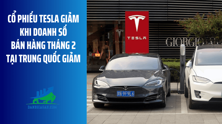 Cổ phiếu Tesla giảm khi doanh số bán hàng tháng 2 tại Trung Quốc giảm – ngày 05/03/2024