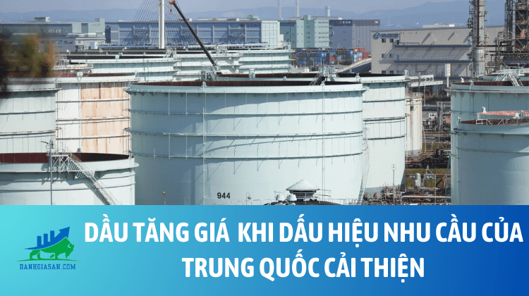 Dầu tăng giá khi dấu hiệu nhu cầu của Trung Quốc cải thiện – ngày 20/11/2024