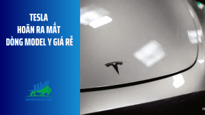 Tesla (1)