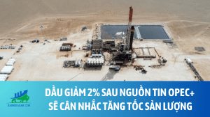 dau (53)