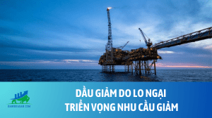 dau (56)
