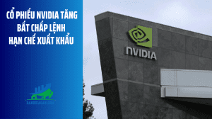 Nvidia (1)