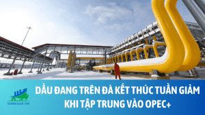 dau (77)