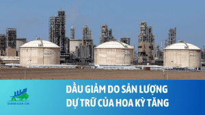 dau (81)