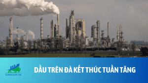 dau (82)