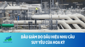 dau (12)