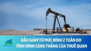 dau (17)