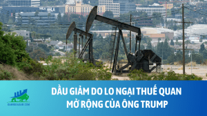 dau (18)
