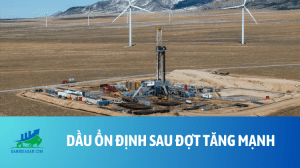 dau (31)