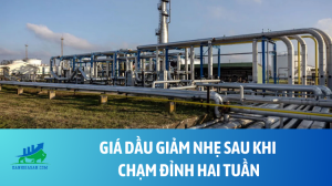 dau (11)