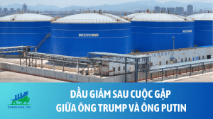dau (4)
