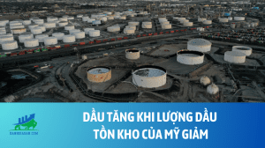 dau (7)