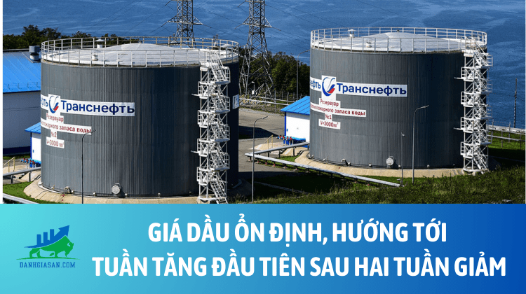 Giá dầu ổn định, hướng tới tuần tăng đầu tiên sau hai tuần giảm – ngày 22/08/2025