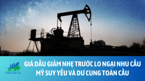 dau (24)