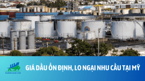 dau (29)