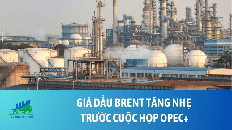 Giá dầu Brent tăng nhẹ trước cuộc họp OPEC+ – ngày 28/11/2025