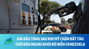 dau (63)