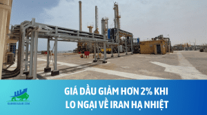 dau (11)