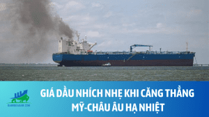 dau (16)