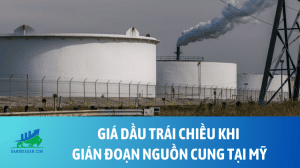 dau (20)