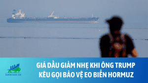 dau (1)