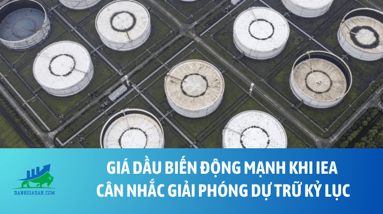 Giá dầu biến động mạnh khi IEA cân nhắc giải phóng dự trữ kỷ lục – ngày 11/03/2026