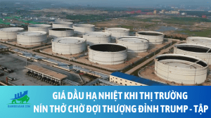 dau