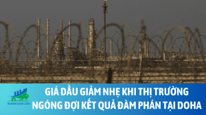 dau (1)