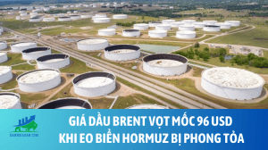 dau (16)