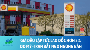 dau (18)