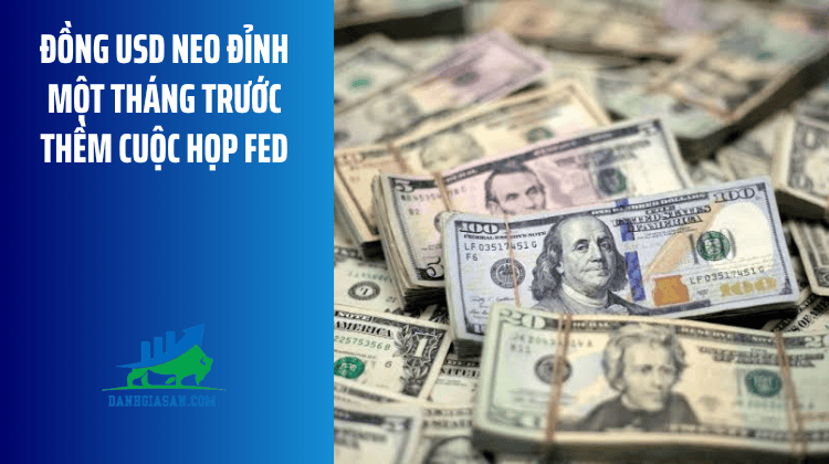Đồng USD neo đỉnh một tháng trước thềm cuộc họp Fed – ngày 28/07/2026