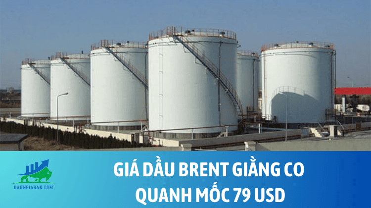 Giá dầu Brent giằng co quanh mốc 79 USD – ngày 05/08/2026